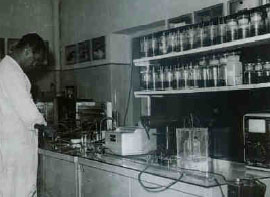 Historie společnosti