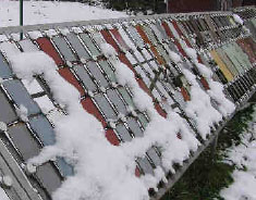 Historie společnosti